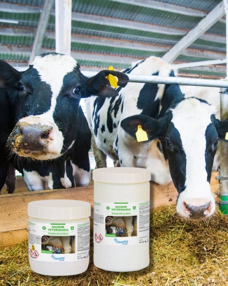 Higiene de ubres en el ordeño: cómo prevenir infecciones y mastitis - 4.jpg