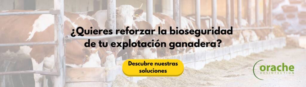 Banner sobre soluciones para mejorar la bioseguridad en explotaciones ganaderas de Orache