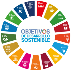 RSC - ODS-circulo.png