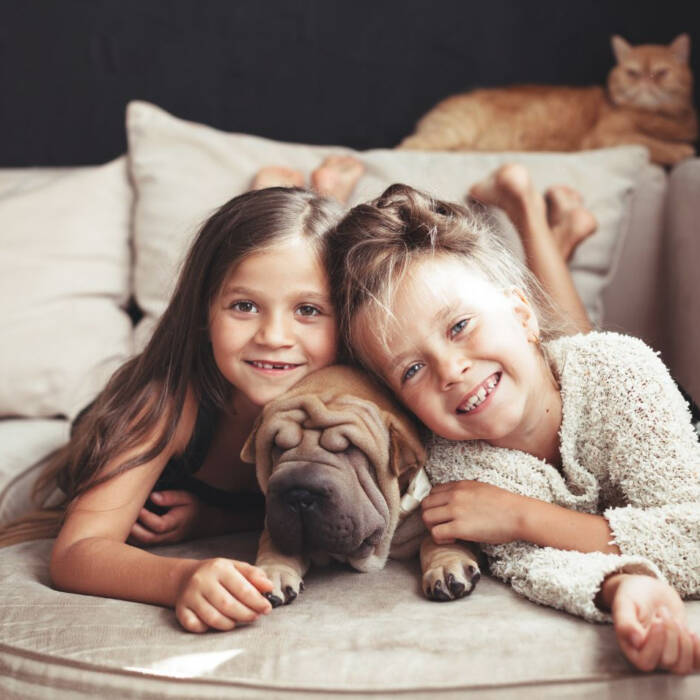 Niñas con un perro y un gato en un hogar limpio y desinfectado de forma segura